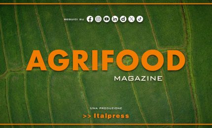 Agrifood Magazine - 22/7/2026