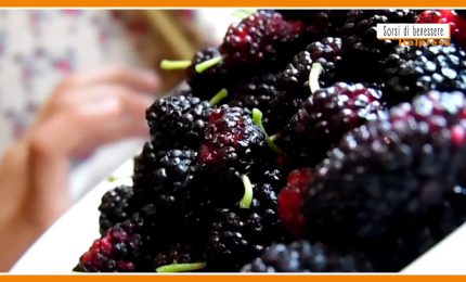 Sorsi di Benessere - Un frullato di more