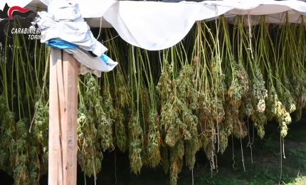 Controlli antidroga nel Torinese, 7 arresti