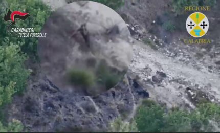 Appicca il fuoco al bosco nel vibonese, allevatore incastrato dal drone
