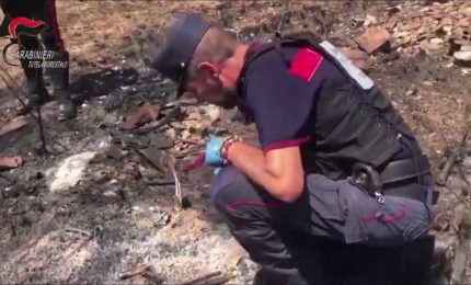 Appicca il fuoco vicino a un bosco a Morano Calabro, 56enne arrestato