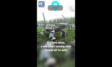 Cina, robot aiuta i coltivatori in un'azienda agricola nello Xinjiang