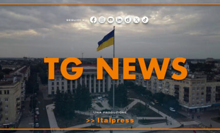 Tg News - 12/8/2026