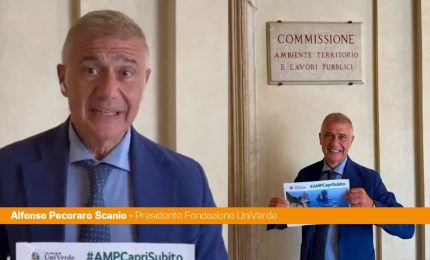 Area Marina Protetta di Capri, Pecoraro Scanio "S&igrave; finale Camera svolta storica"