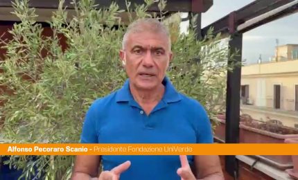 Pecoraro Scanio "Arrestare gli incendiari anche con le tecnologie EcoDigital"
