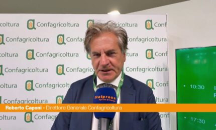Lavoro, Caponi "Da Confagricoltura agenzia per incontro tra domanda e offerta"