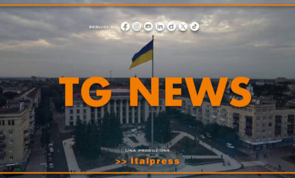 Tg News - 11/8/2026