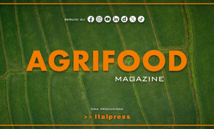 Agrifood Magazine - 19/8/2026
