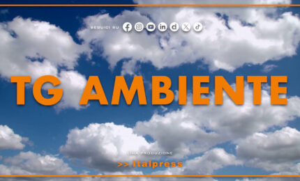 Tg Ambiente - 23/8/2026