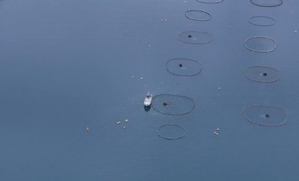 Pesca, 3 milioni per le imprese colpite dal maltempo