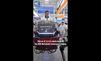 Cina, cavallo robot per carichi pesanti presentato alla World Robot Conference