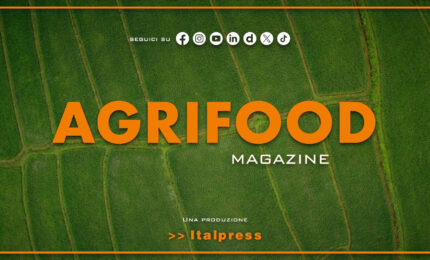 Agrifood Magazine - 26/8/2026