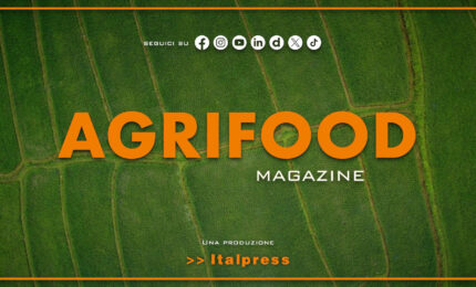 Agrifood Magazine - 12/8/2026