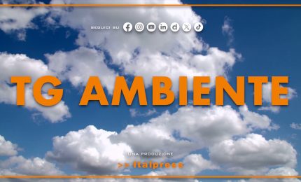 Tg Ambiente - 2/8/2026