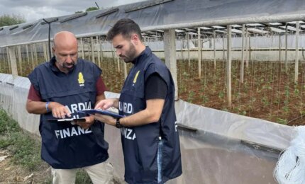 Lavoro in nero nei campi del Trapanese, scoperti 19 irregolari in tre aziende agricole