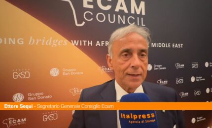 Sequi "Con The Charter una roadmap per lavorare insieme all'Africa"