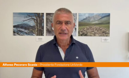 Pecoraro Scanio "Non sottovalutare il voto in Sassonia"