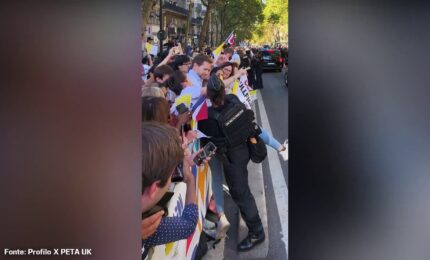 Papa a Parigi, attivisti PETA anti-corrida invadono percorso papamobile