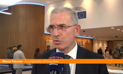 Germania, Falcone "Il voto in Sassonia &egrave; un campanello d'allarme per l'Europa"