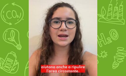 Dalle foglie cadute alla carta, l'idea di uno studente ucraino