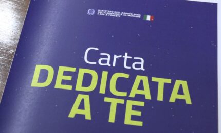 Torna la "Carta Dedicata a Te", 1000 euro a oltre 1,1 milioni di famiglie