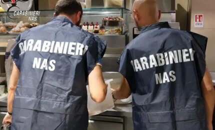 Blatte e carenze igienico-sanitarie, chiuso un bar-pasticceria a Catania