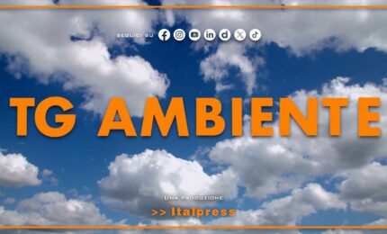Tg Ambiente - 20/9/2026