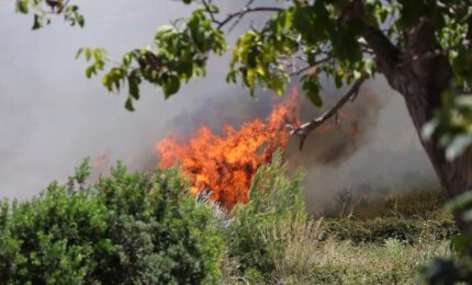 Sicilia nella morsa degli incendi, ancora allerta rossa nelle province di Agrigento, Caltanissetta ed Enna