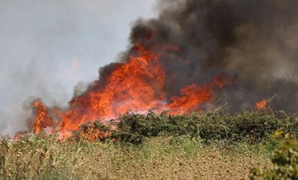 &Egrave; morto a 26 anni il giovane rimasto ustionato da un incendio divampato nel Palermitano, Schifani: &ldquo;Nessuna piet&agrave; per chi appicca il fuoco&rdquo;
