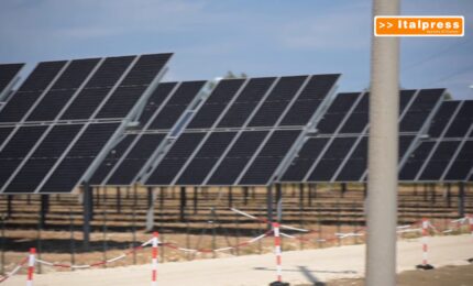 Nadara e Amazon, in Sicilia il pi&ugrave; grande impianto agrivoltaico d&rsquo;Italia