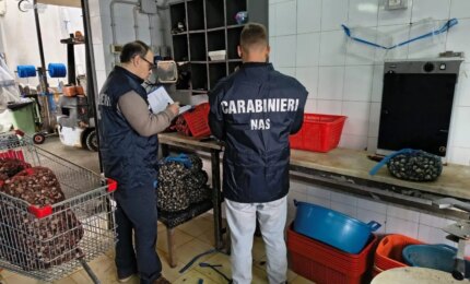 Controlli dei NAS a Palermo, chiuse tre pescherie e sanzioni per 34 mila euro