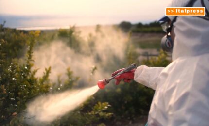 Pesticidi, allarme in Europa "A rischio salute e ambiente&rdquo;