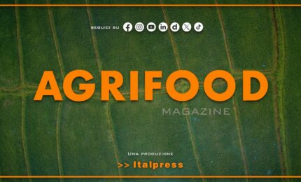Agrifood Magazine - 16/9/2026