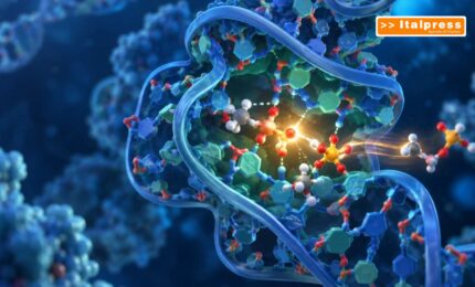 RNA, scoperta una modifica chimica che ne aumenta l&rsquo;efficienza