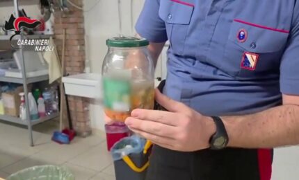 Insetti e vermi nel cibo destinato a bambini comunit&agrave; di Caivano, una denuncia