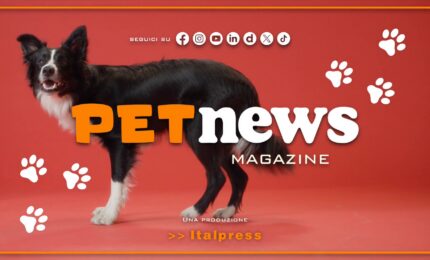 PetNews Magazine - 28/9/2026