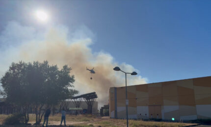Incendio al Conca d'Oro di Palermo, in azione anche elicottero della Forestale