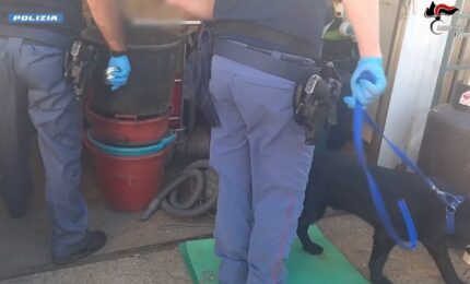 Assaltarono 8 tra sale scommesse e stazioni carburanti a Palermo, due arresti