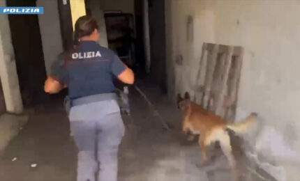 A Catania scoperti 2 chili di marijuana nel sottoscala di un condominio