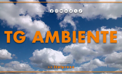 Tg Ambiente - 6/9/2026