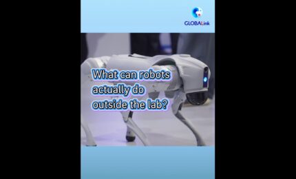 Cina: robot impiegati in attivit&agrave; quotidiane alla fiera di Hangzhou