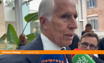 Figc, Malag&ograve; "Tesseramento? Caso strano valga solo ad personam"
