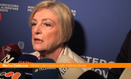 Calderone "Dobbiamo investire sul lavoro e il salario giusto"