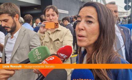 Forza Italia, Ronzulli "Per vincere le elezioni occorre risalire nei consensi"