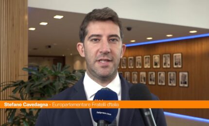 Industria, Cavedagna "Sistema Ets un danno, fermare ulteriori costi"
