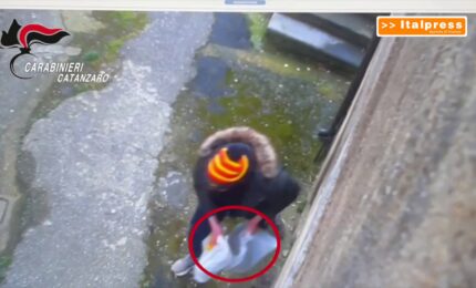 Compravano la droga con il reddito di cittadinanza, 24 misure cautelari