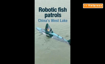 Cina, un pesce robot "sorveglia" il Lago Occidentale di Hangzhou
