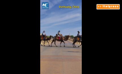 Cina, a Dunhuang semafori dedicati ai cammelli regolano il traffico