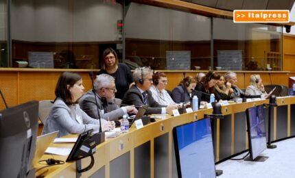 Lavoro domestico in Europa, oltre 10 milioni di occupati