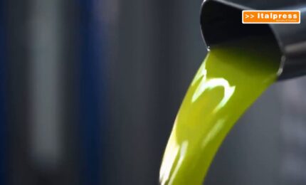 Olio d&rsquo;oliva, arriva il documento digitale contro le frodi